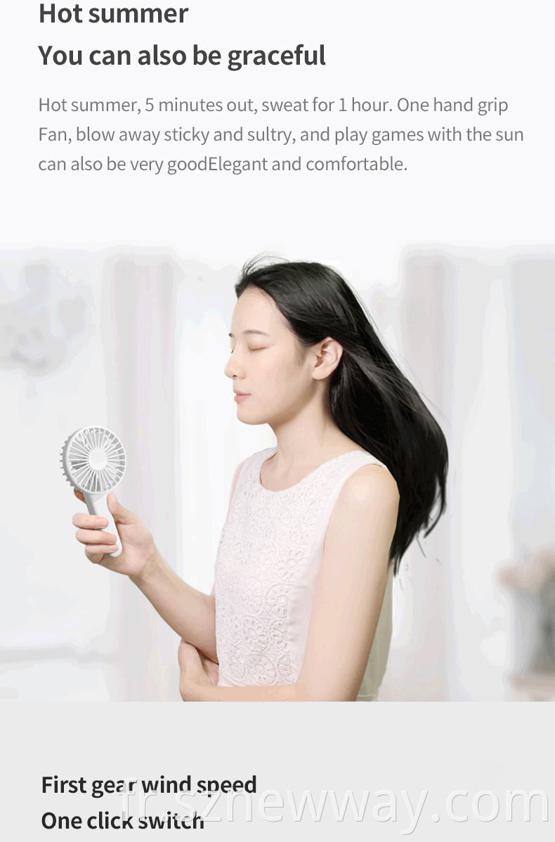 Qualitell Handheld Fan